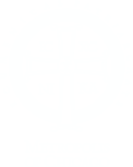 Metropolis of chicago